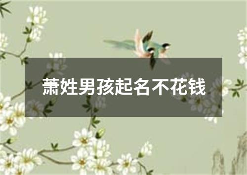 萧姓男孩起名不花钱