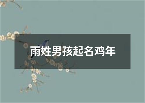 雨姓男孩起名鸡年