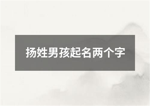 扬姓男孩起名两个字