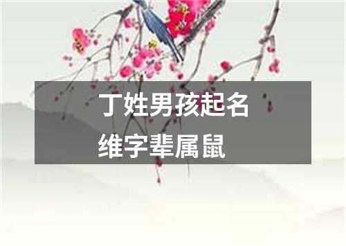 丁姓男孩起名维字辈属鼠