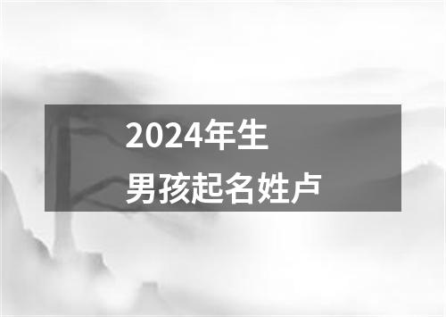 2024年生男孩起名姓卢