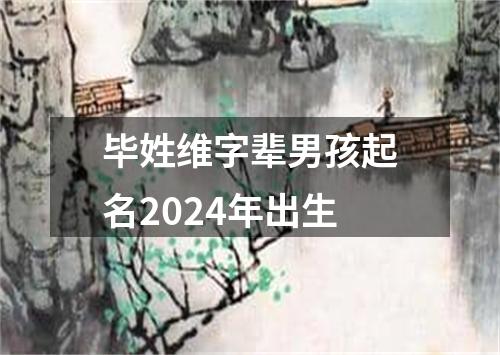 毕姓维字辈男孩起名2024年出生