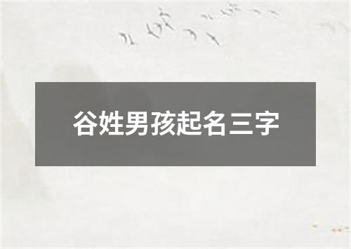 谷姓男孩起名三字