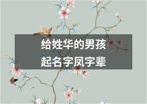 给姓华的男孩起名字凤字辈