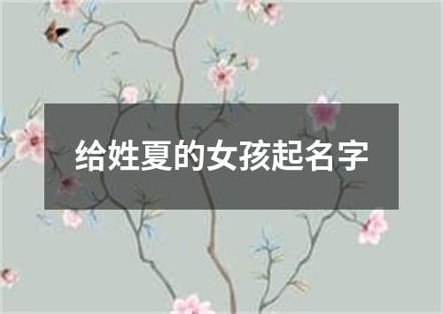 给姓夏的女孩起名字