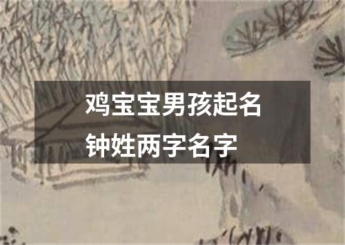 鸡宝宝男孩起名钟姓两字名字