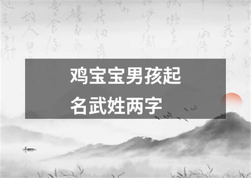 鸡宝宝男孩起名武姓两字