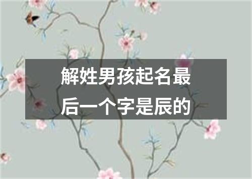 解姓男孩起名最后一个字是辰的