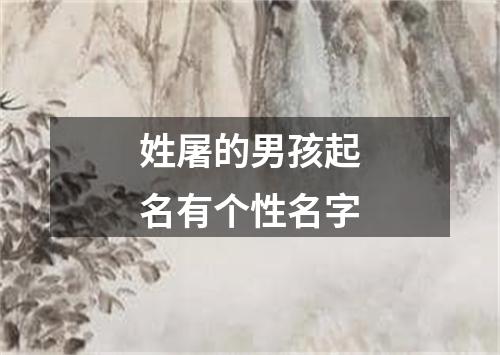 姓屠的男孩起名有个性名字