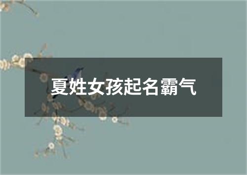 夏姓女孩起名霸气