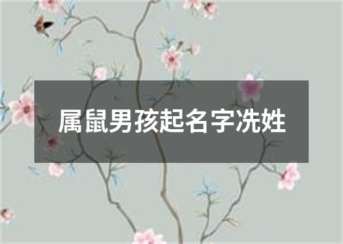 属鼠男孩起名字冼姓