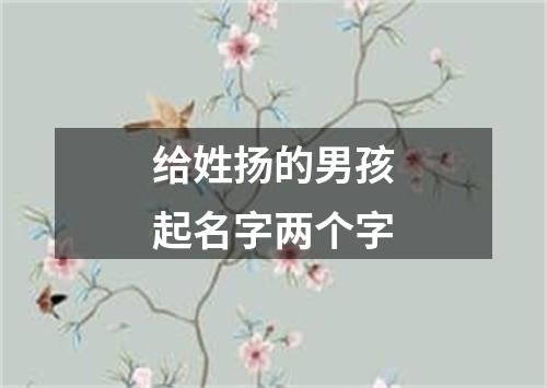 给姓扬的男孩起名字两个字