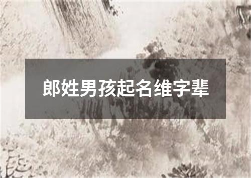 郎姓男孩起名维字辈