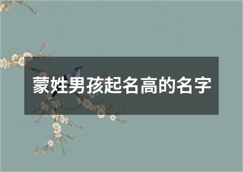 蒙姓男孩起名高的名字