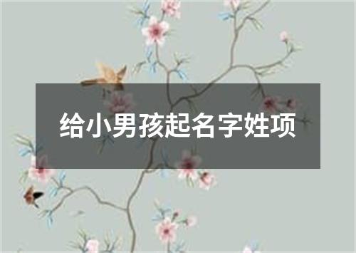 给小男孩起名字姓项