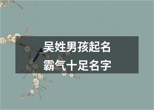 吴姓男孩起名霸气十足名字