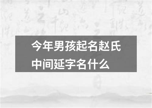 今年男孩起名赵氏中间延字名什么