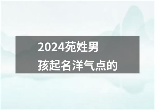 2024苑姓男孩起名洋气点的