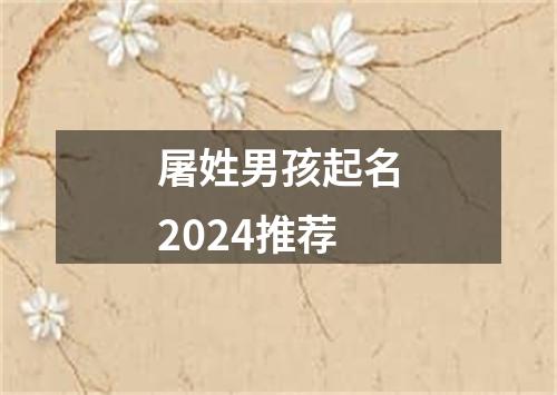 屠姓男孩起名2024推荐