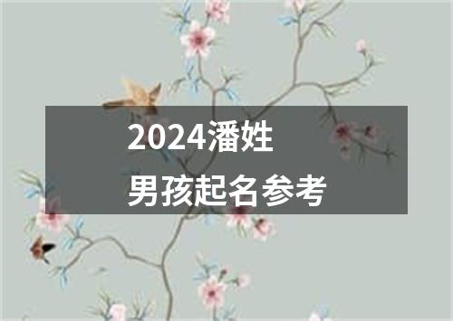 2024潘姓男孩起名参考