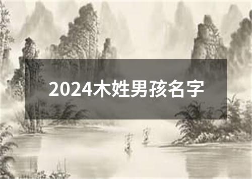 2024木姓男孩名字