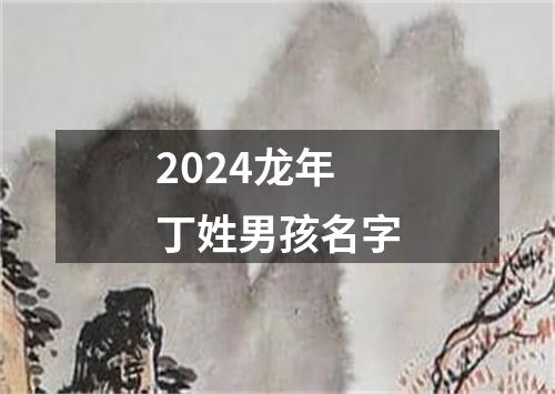 2024龙年丁姓男孩名字