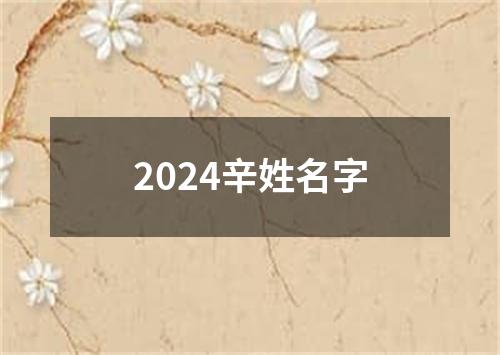 2024辛姓名字