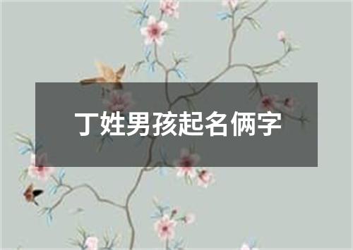 丁姓男孩起名俩字