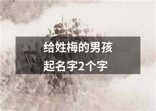 给姓梅的男孩起名字2个字