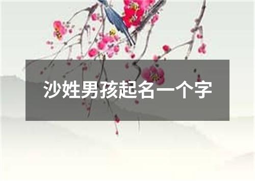 沙姓男孩起名一个字