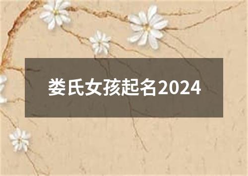 娄氏女孩起名2024