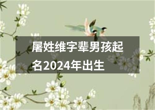 屠姓维字辈男孩起名2024年出生