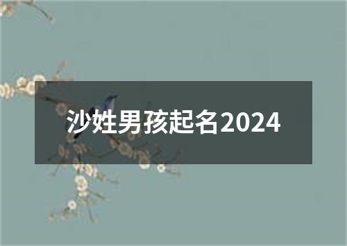 沙姓男孩起名2024