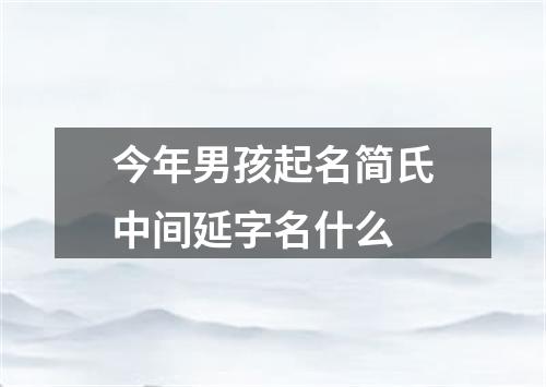 今年男孩起名简氏中间延字名什么