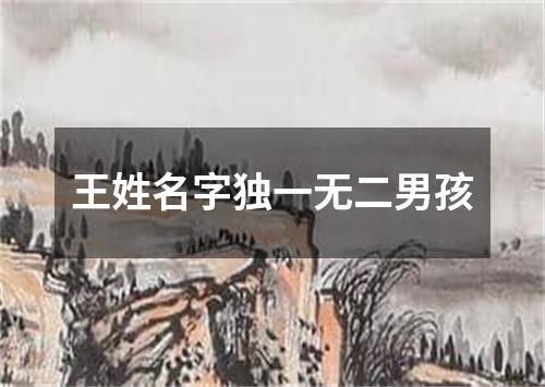 王姓名字独一无二男孩