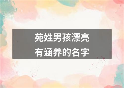 苑姓男孩漂亮有涵养的名字