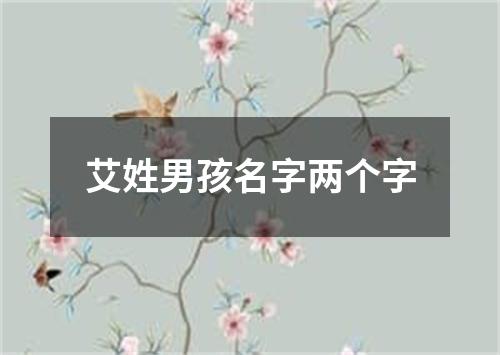 艾姓男孩名字两个字