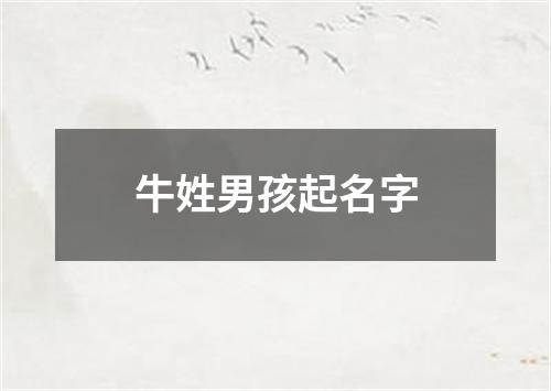 牛姓男孩起名字