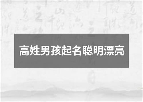 高姓男孩起名聪明漂亮