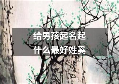 给男孩起名起什么最好姓奚