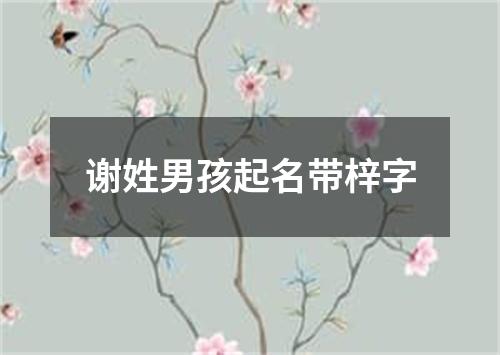 谢姓男孩起名带梓字