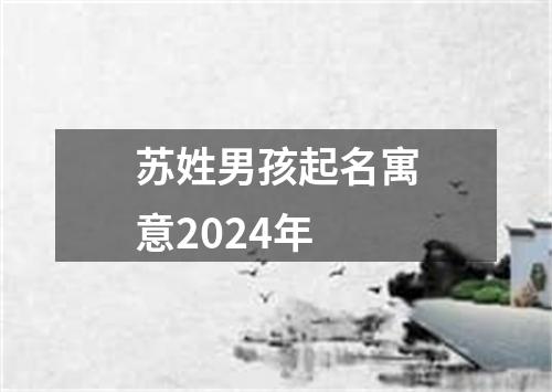 苏姓男孩起名寓意2024年