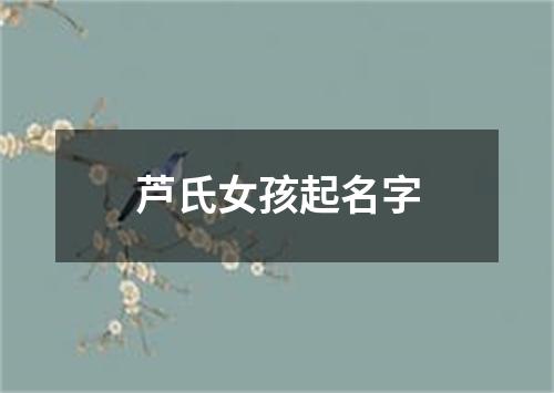 芦氏女孩起名字