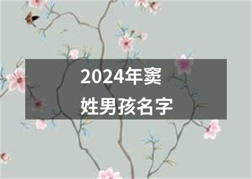 2024年窦姓男孩名字