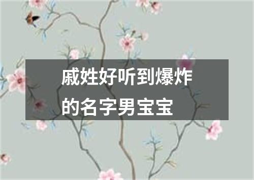 戚姓好听到爆炸的名字男宝宝