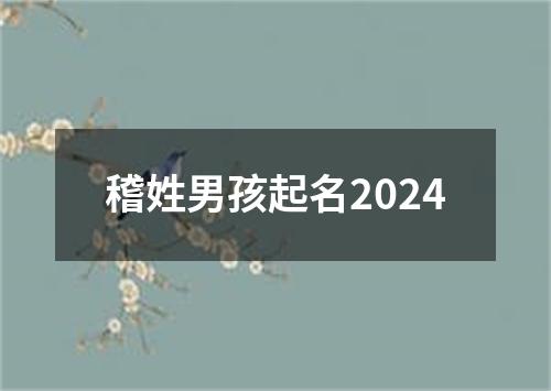 稽姓男孩起名2024