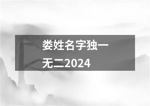 娄姓名字独一无二2024