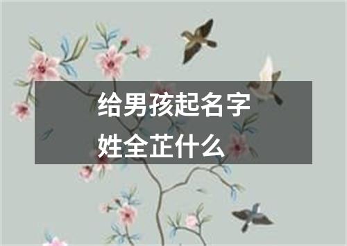 给男孩起名字姓全芷什么