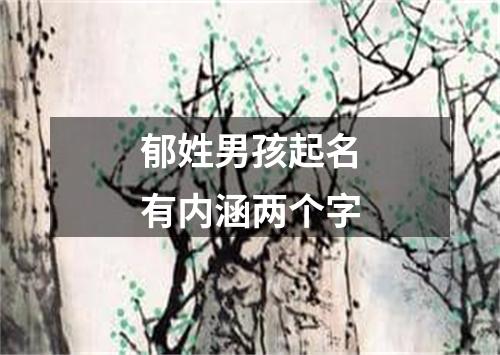 郁姓男孩起名有内涵两个字