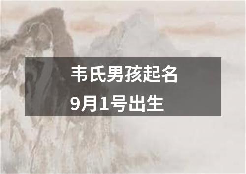 韦氏男孩起名9月1号出生